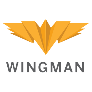Wyvern Wingman rating